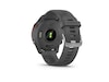 Garmin Forerunner 255 46mm GPS (slate grey) Smartwatches