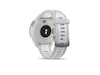 Garmin Forerunner 165 43mm GPS (mist gray/whitestone) Smartwatches