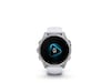 Garmin fenix 8 AMOLED 43mm GPS (stainless steel/whitestone) Smartwatches