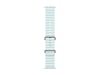 Apple Watch 49mm Natural Titanium Ocean Band (ice blue) Rem