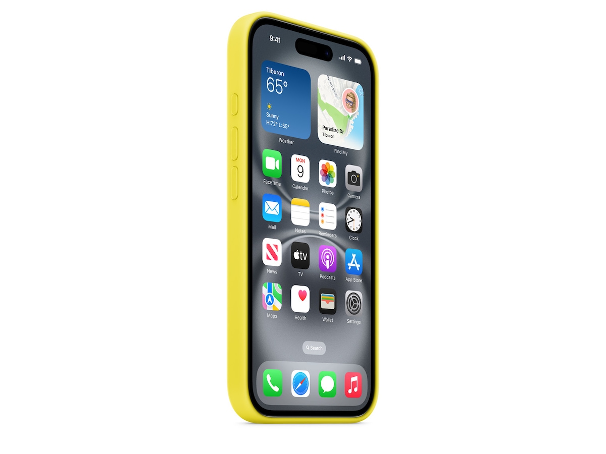 Apple iPhone 16 Silikonecover (stjernefrugt) Mobilcover