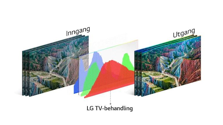 LG 55" OLED 4KTV OLED55A1