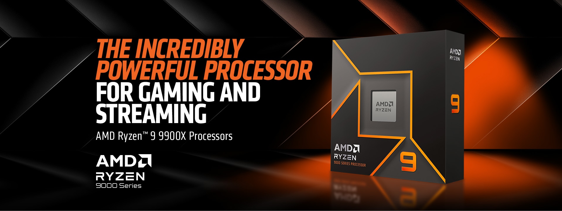 AMD Ryzen 9 9900X